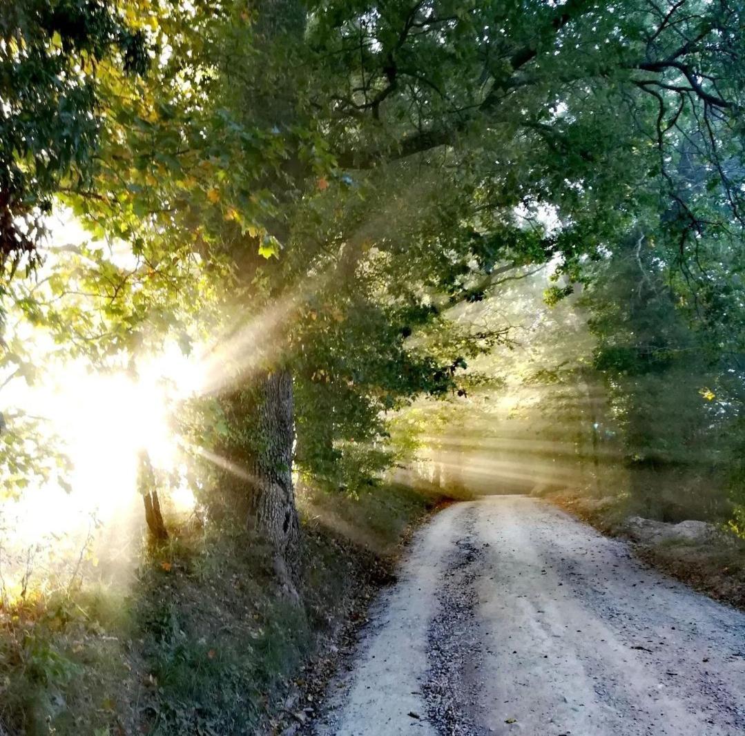 La Quercia Incantata Καμερίνο Εξωτερικό φωτογραφία